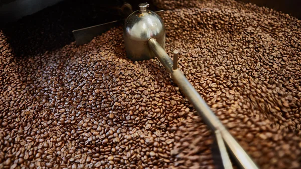 Frisch geröstete Kaffeebohnen — Stockfoto