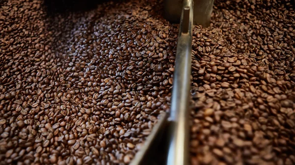 Čerstvě pražená kávová zrna — Stock fotografie