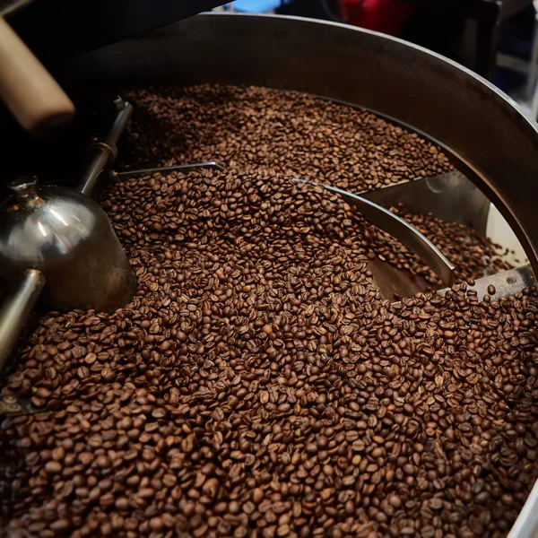 Granos de café recién tostados — Foto de Stock