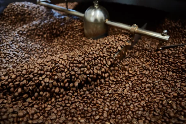 Frisch geröstete Kaffeebohnen — Stockfoto