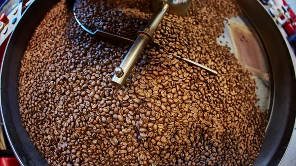 Granos de café recién tostados — Foto de Stock
