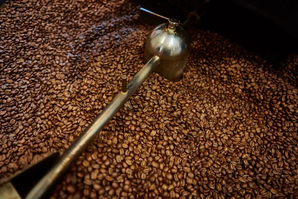 Свежеобжаренные кофейные зерна — стоковое фото