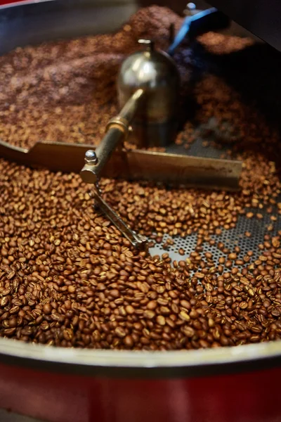 Grains de café fraîchement torréfiés — Photo