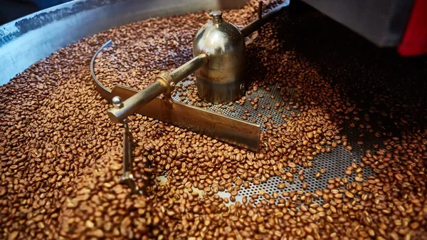 Granos de café recién tostados — Foto de Stock