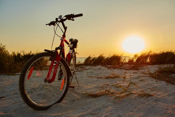 Fiets op het strand — Stockfoto