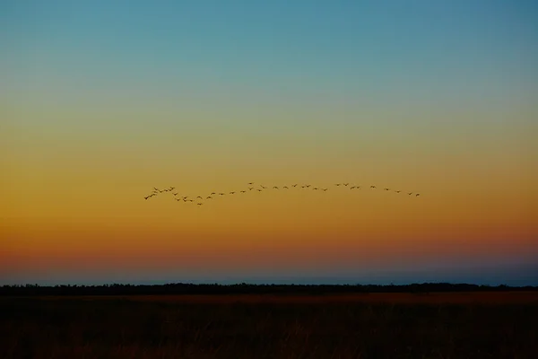 Magnifique coucher de soleil dans la steppe — Photo