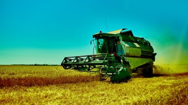 Harvester combine harvesting wheat on summer day. clipart