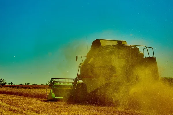 여름 날에 수확 한 밀을 결합 하는 수확기. — 스톡 사진