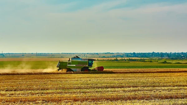 収穫は夏の日に収穫の小麦を組み合わせる. — ストック写真