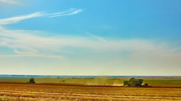 Hasat birleştirmek hasat buğday yaz gününde. — Stok fotoğraf