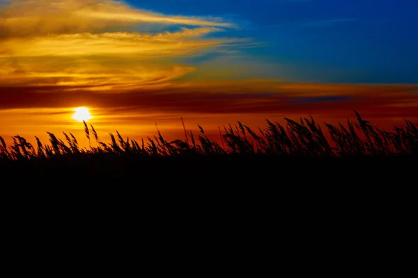 Por do sol na estepe. — Fotografia de Stock