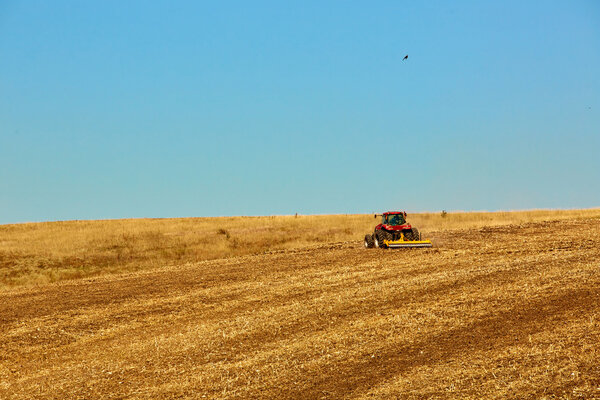Agricultural Landscape. Tractor working on the field.