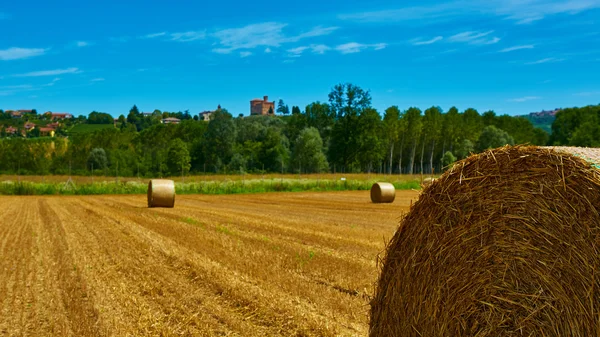 Große Rolle geerntetes Stroh auf dem gemähten Feld — Stockfoto