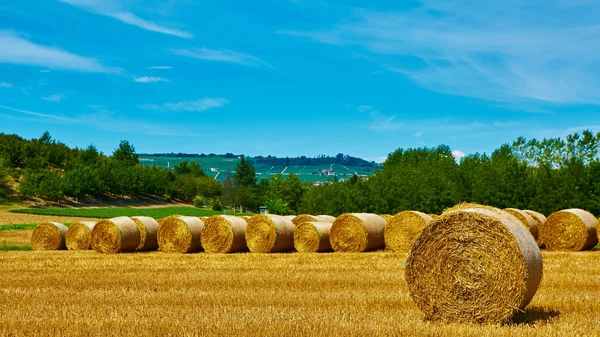 Große Rolle geerntetes Stroh auf dem gemähten Feld — Stockfoto