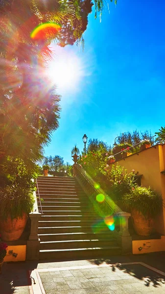 Brown concrete stair in city garden. — Stock Photo, Image