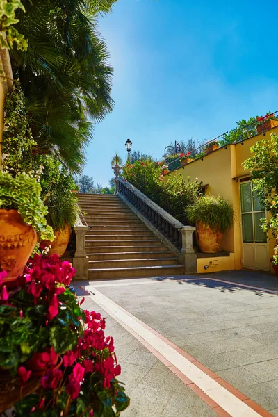 Escalier en béton brun dans jardin de la ville . — Photo