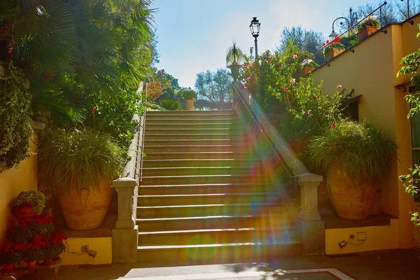 Scala in cemento marrone nel giardino della città . — Foto Stock