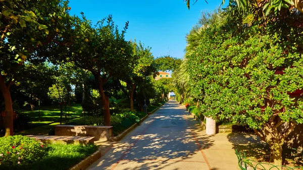 View of Green park in city — Stock Photo, Image