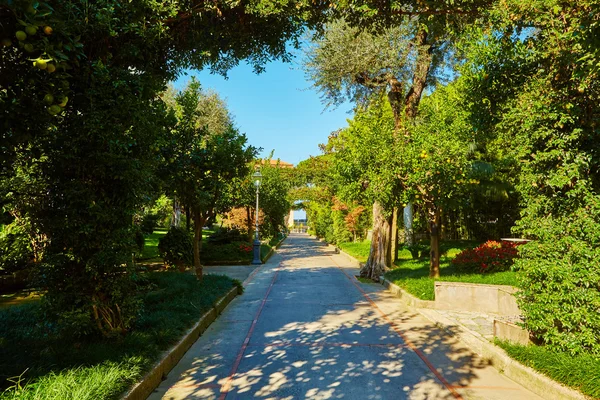 View of Green park in city — Stock Photo, Image