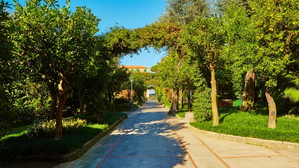 View of Green park in city — Stock Photo, Image