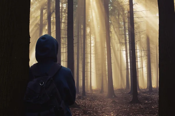 Man in beautiful foggy autumn forest with sun rays — Stock Photo, Image