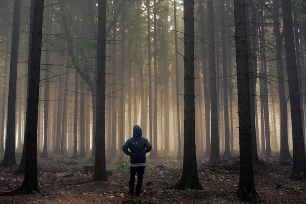 Homme dans la belle forêt d'automne brumeuse — Photo