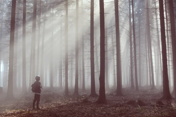 Uomo in bella nebbia foresta autunnale con raggi di sole — Foto Stock