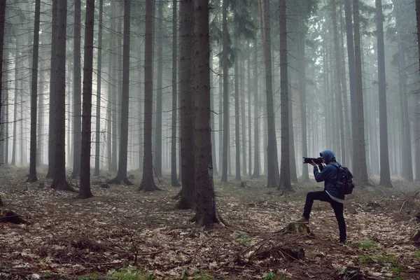 Photographe de belle forêt brumeuse d'automne — Photo