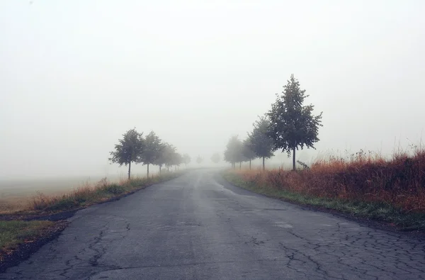 Ομίχλη τρόπο το πρωί με την Ανατολή — Φωτογραφία Αρχείου