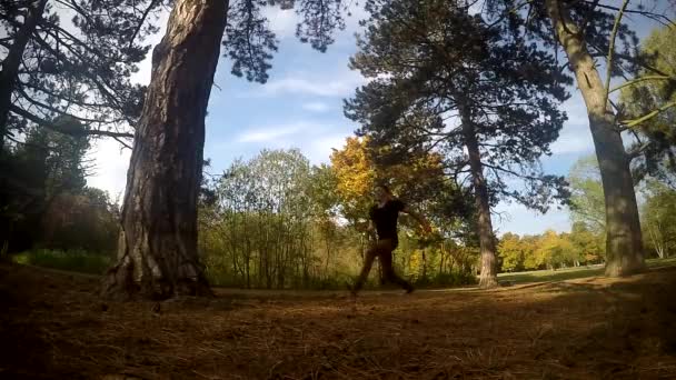 Junge springt Salto auf Baum im Park, Zeitlupe — Stockvideo