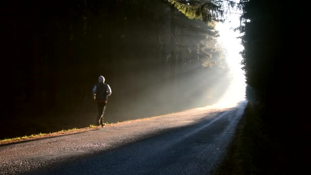 Чоловік біжить на сході сонця в туманному лісі . — стокове відео