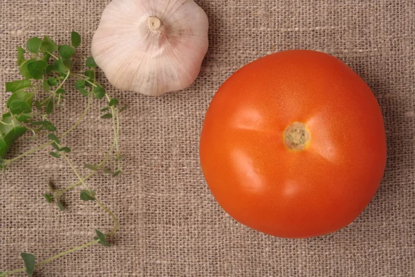 Kirschtomaten am Weinstock mit Oregano — Stockfoto