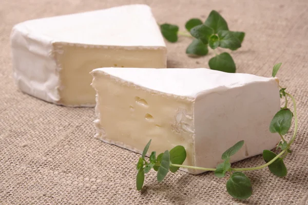 柔らかいチーズの部分と布布背景 — ストック写真