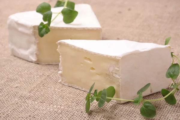 柔らかいチーズの部分と布布背景 — ストック写真