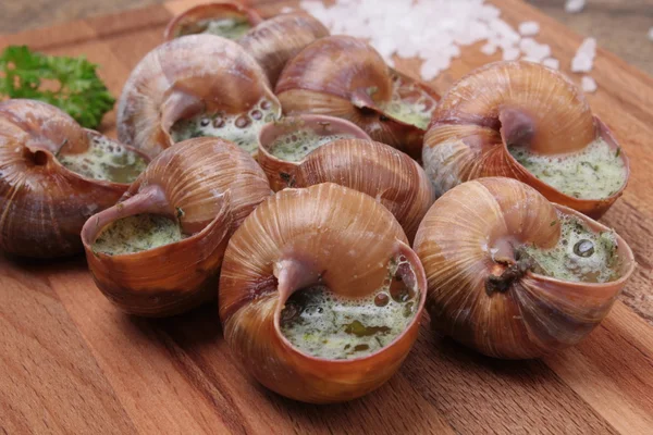Snails with garlic, butter as french gastronomy gourmet food. — Stock Photo, Image