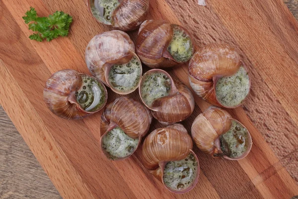 Snails with garlic, butter as french gastronomy gourmet food. — Stock Photo, Image