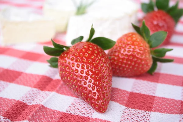 Camembert ost med jordgubbe — Stockfoto