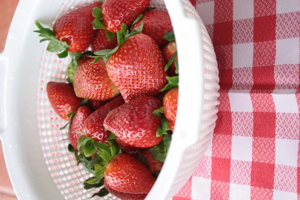 Vue rapprochée des fraises lavées réfléchissant dans un pot blanc — Photo