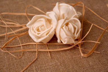 kumaş üzerine gül