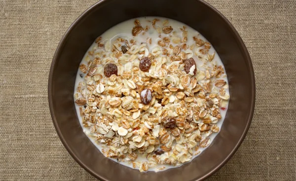 우유와 muesli — 스톡 사진