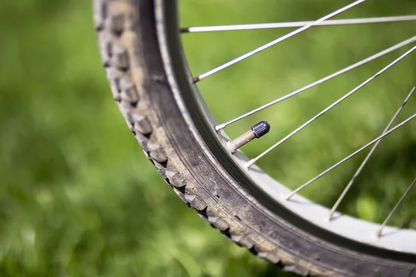 Ventil av ett cykelhjul — Stockfoto