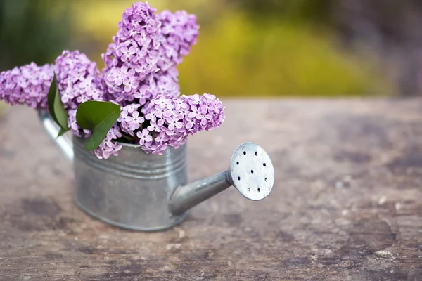 Lilac blomsterbuket - Stock-foto