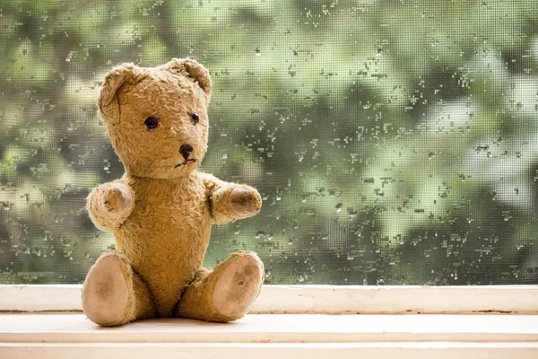 Urso de brinquedo vintage — Fotografia de Stock
