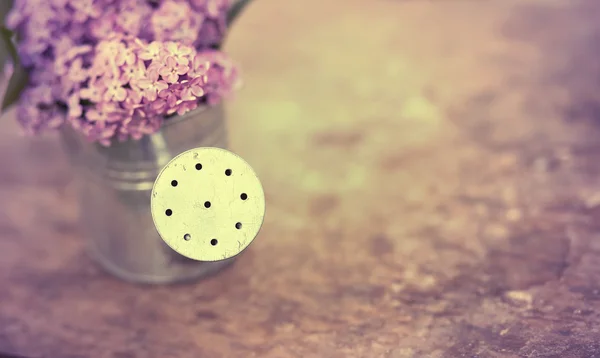 Gieter met lila bloem — Stockfoto