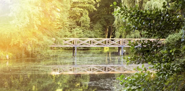 緑の森の木橋 — ストック写真