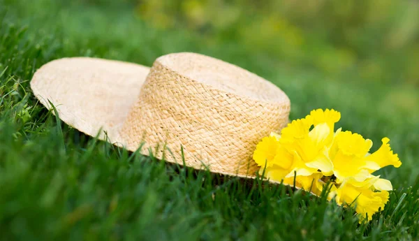 Gele Narcis Narcis Bloemen Een Strohoed Het Gras Voorjaar Lente — Stockfoto