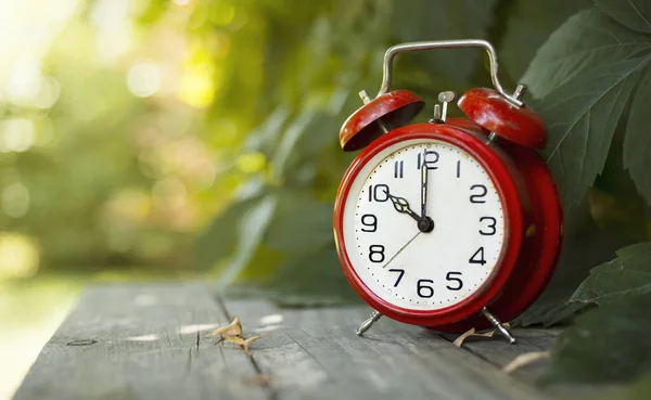 Relógio Alarme Clássico Vermelho Jardim Economize Tempo Conceito Economia Luz — Fotografia de Stock