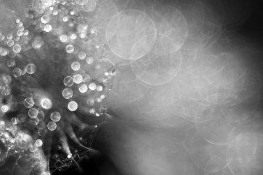 tatil kartı arka plan