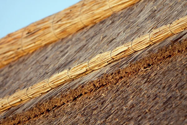 Соломенная крыша — стоковое фото