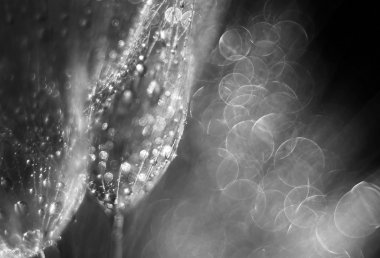 Parlak tatil kartları tasarımı